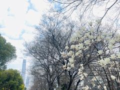 -艺仓美术馆