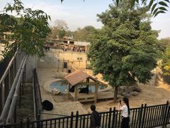 -石家庄市动物园