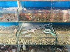 -仙螺岛海鲜自助餐厅(总店)