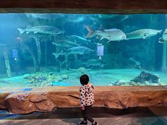 -华夏文旅海洋公园