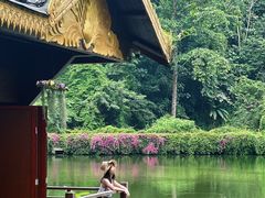 -西双版纳原始森林公园