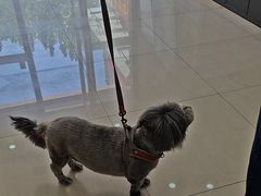 -天宠宠物医院24小时·急重症诊疗中心·全科·腔镜特色(和平分院)