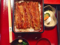 -料亭菊水楼