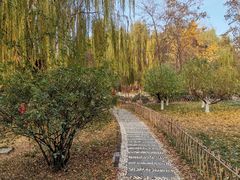-丰台科技园生态主题公园