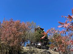 -北京鹫峰国家森林公园