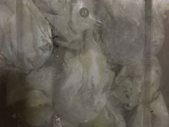 -袁记云饺(邯郸路店)