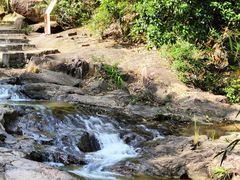 -广州白江湖森林公园