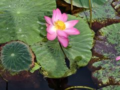 -长春市南湖公园