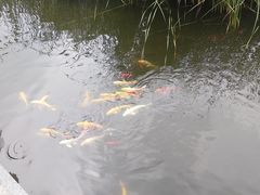 -武清南湖绿博园