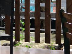 -洞背山庄(洞背院区式管理小区店)