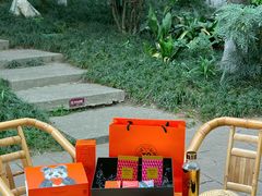 -成都市活水公园