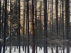 -长春市南湖公园