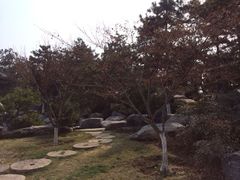 iphone_upload_pic-中国唐苑