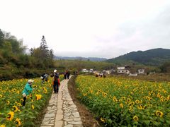 -塔川景区