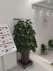 -美奈サロン美甲美睫皮肤管理