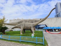 -安徽省地质博物馆