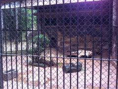 iphone_upload_pic-昆明动物园