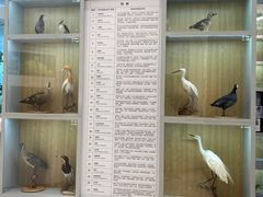 -下渚湖国家湿地公园科普馆