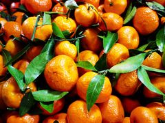 -港华水果街(港华广场店)