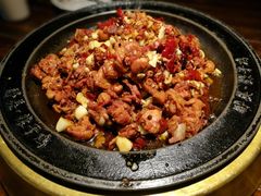 -天山醉美辣子鸡(文艺路店)