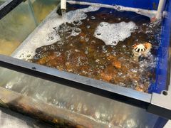 -遇上西雅图多融合海鲜自助餐厅(中房金谊广场店)