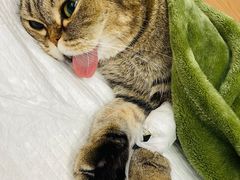 -爱侣宠医·鹦鹉专科·小型哺乳类·异宠专科(灵石路店)