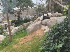 -香港海洋公园