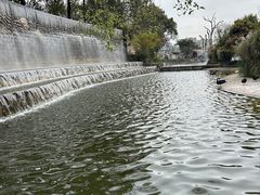 -成都动物园