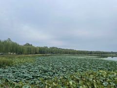 -素心小筑(后沙裕镇店)