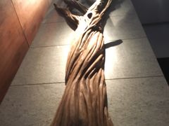 -三亚太阳湾柏悦酒店