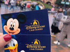 -上海迪士尼度假区