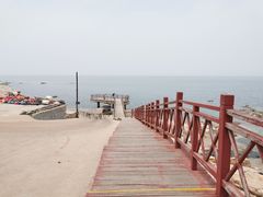 -海岛日记(养马岛店)
