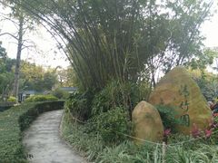 -晓港公园