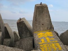 -上海滨江森林公园