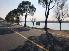 -漕湖湿地公园