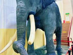 -国家自然博物馆