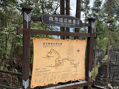 -梭布垭石林景区