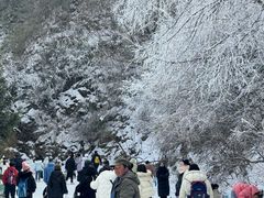 -嘉陵江源头景区