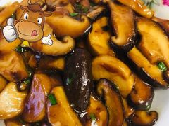 蚝油双菇-权記牛腩