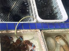 水产区-霞涌市场海鲜摆卖区