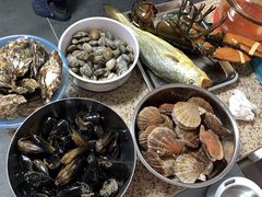 -必点海鲜·鲅鱼水饺(鞍山西道店)