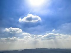 -水濂山森林公园