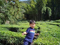 -兰溪地下长河