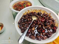 -三强鸽子(中原路店)