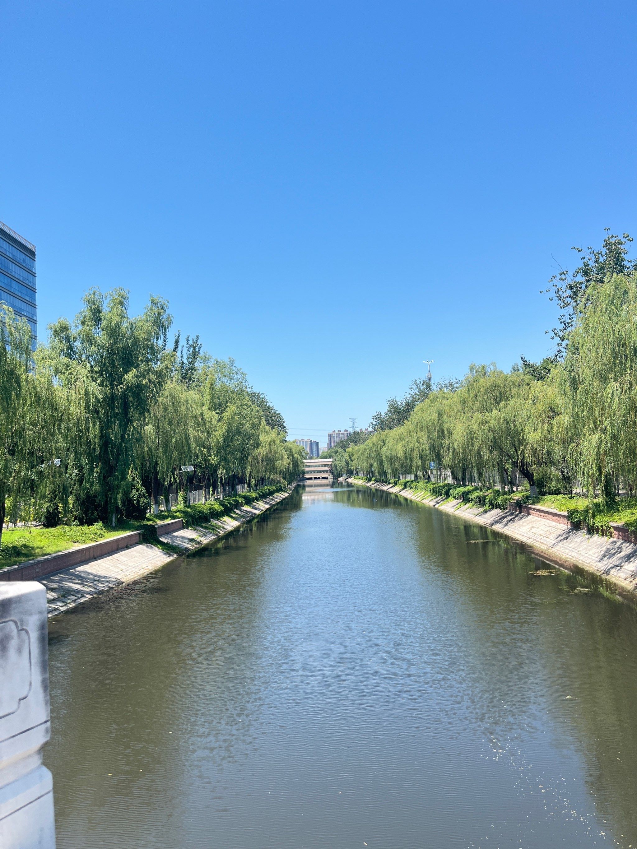 夏天漫步在河边多凉快