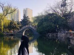 -西苑公园