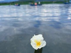 -丽江泸沽湖景区