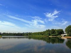 -大兴滨河森林公园