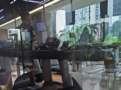 -威克健身游泳(万菱汇店)