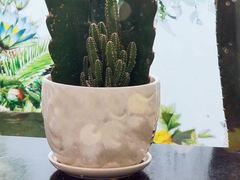 -云里小坐·小院里·团建·宴请·下午茶(三圣乡店)